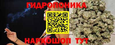 PSILOCYBIN Кунгур