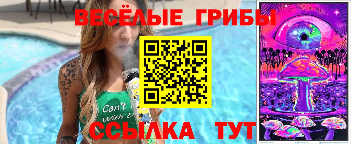 Каменск-Шахтинский  хочу наркоту  Псилоцибиновые грибы Psilocybine cubensis  Вход с VPN  Псилоцибиновые грибы прущие грибы 
